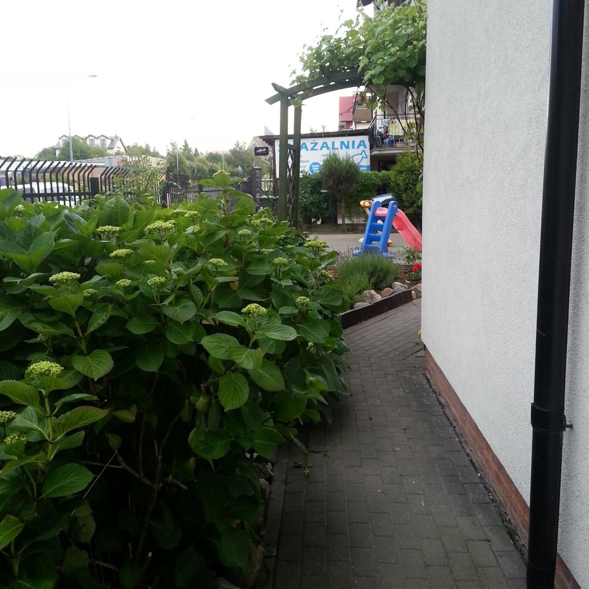 Szafranowka Apartment Wladyslawowo Luaran gambar