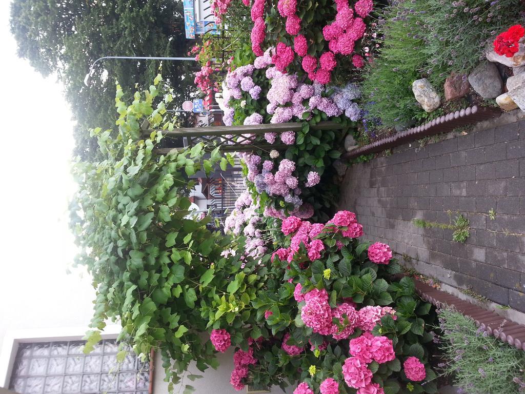 Szafranowka Apartment Wladyslawowo Luaran gambar